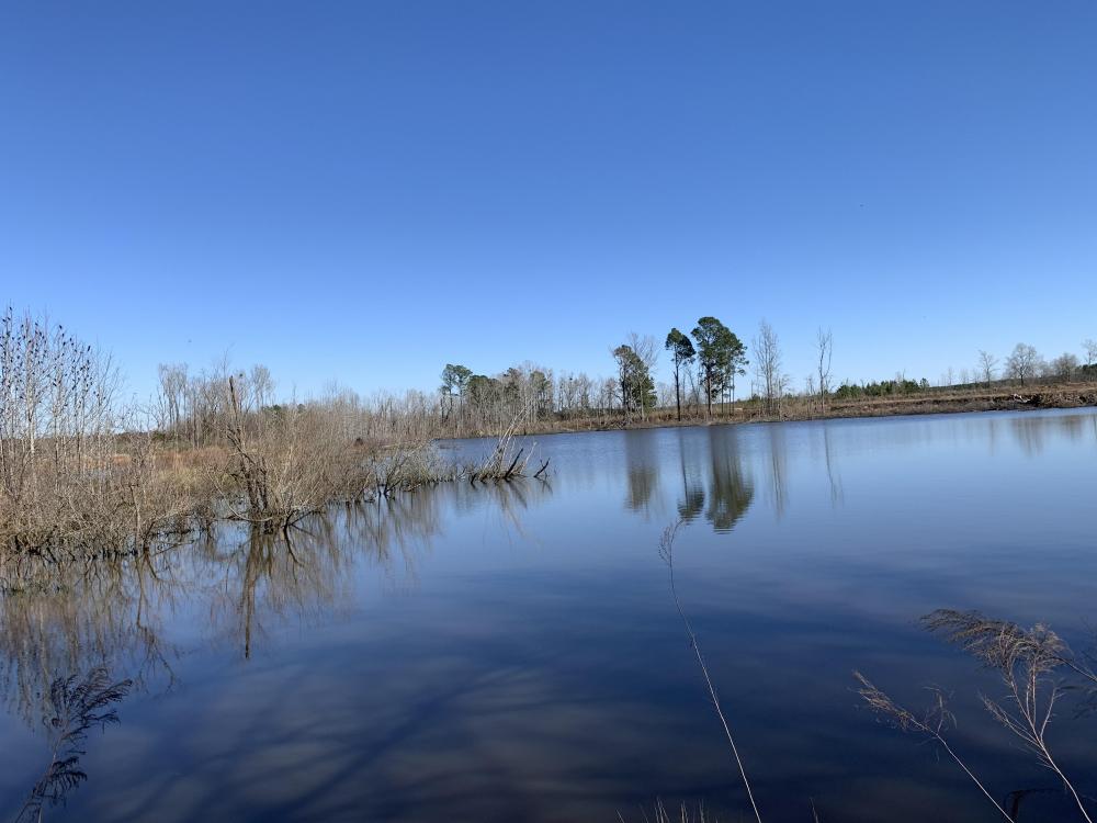 Two Ponds Duck Club- Rock Hill Tract in Clarendon County ...