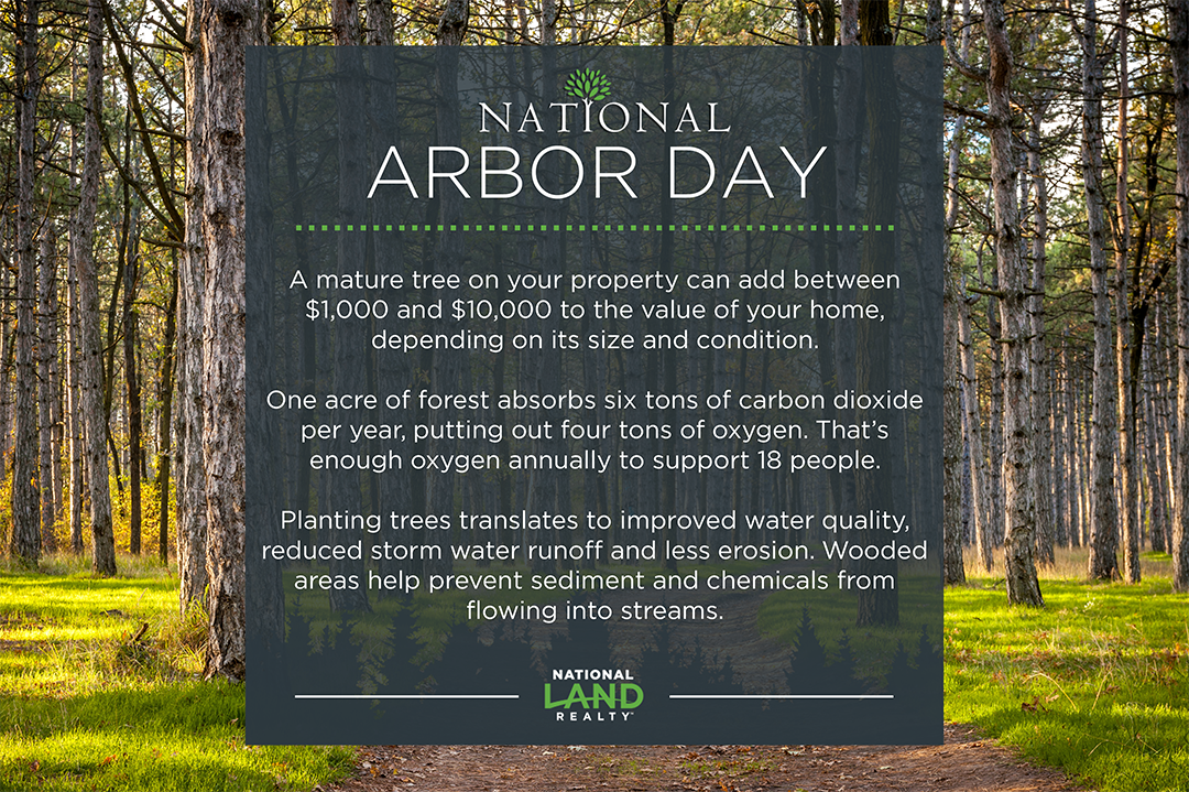 Interesting Facts About Arbor Day! National Land Realty Blog