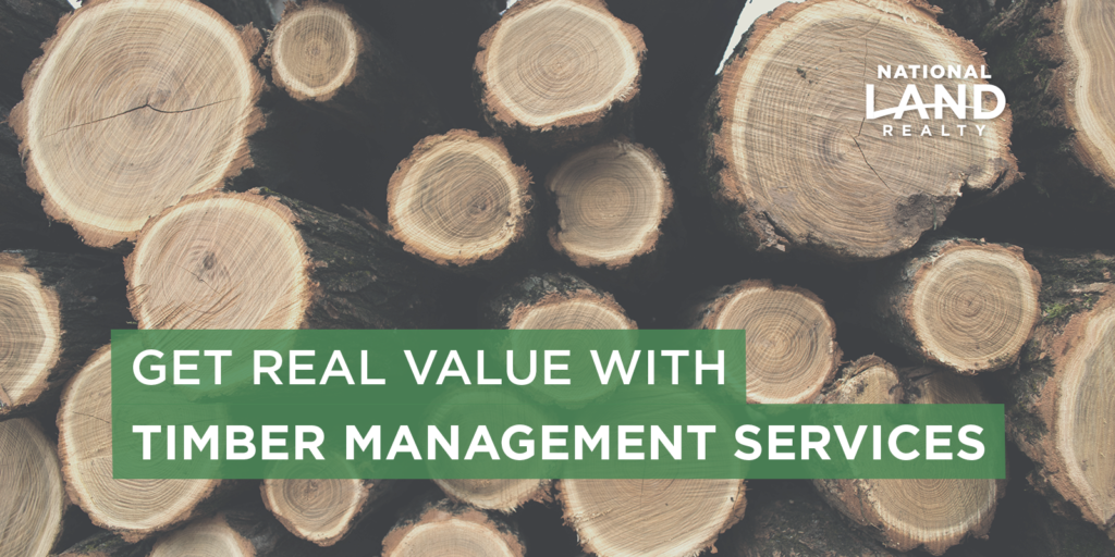 Get Real Value with Timber Management Services National Land Realty Blog