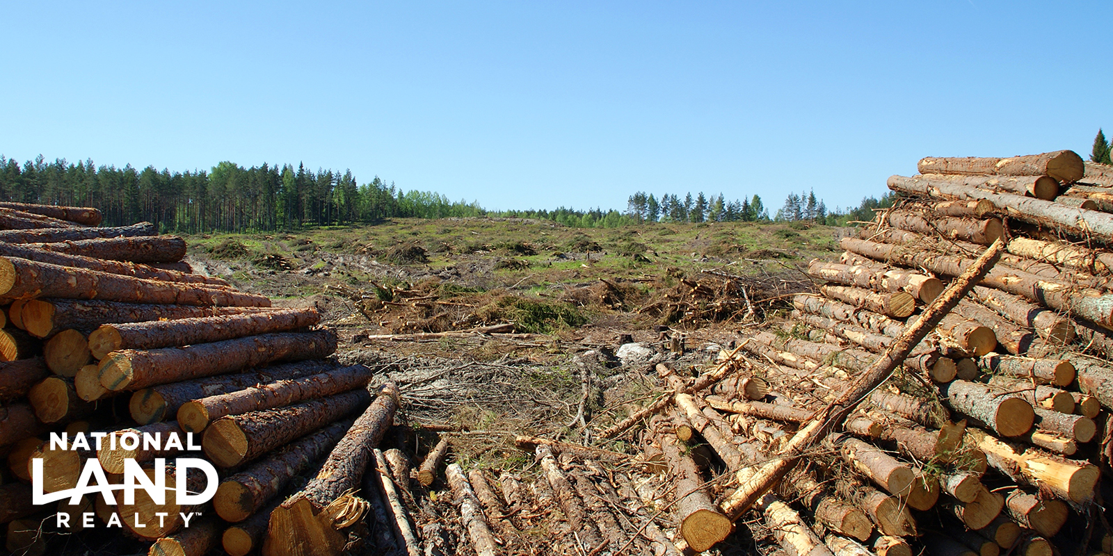 Get the Most Out of Your Timber Tract Before Selling National Land