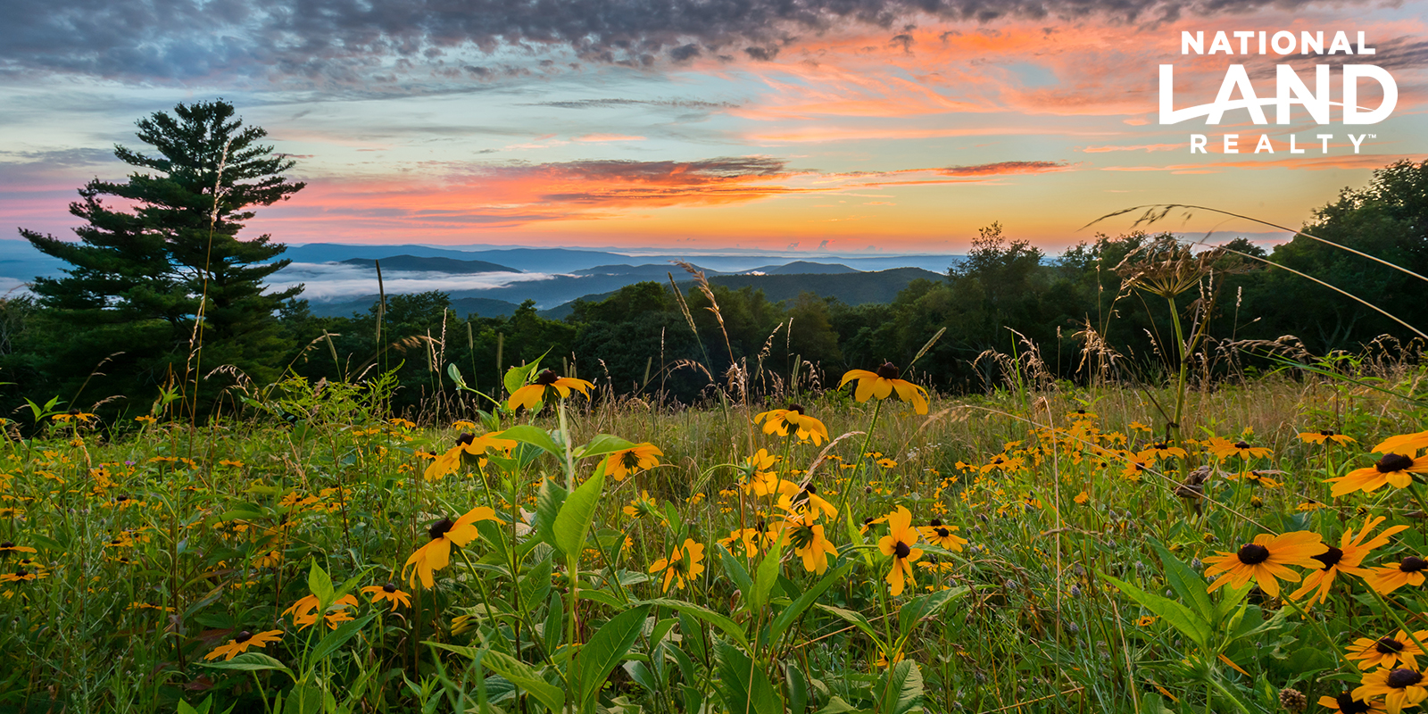 Financing Land in WNC Important Notes for Buyers and Sellers National Land Realty Blog