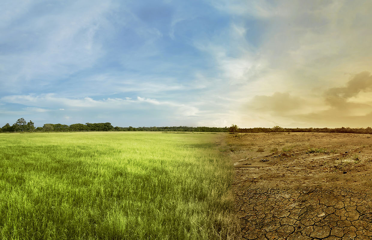 Climate Adaptation Real Estate National Land Realty News