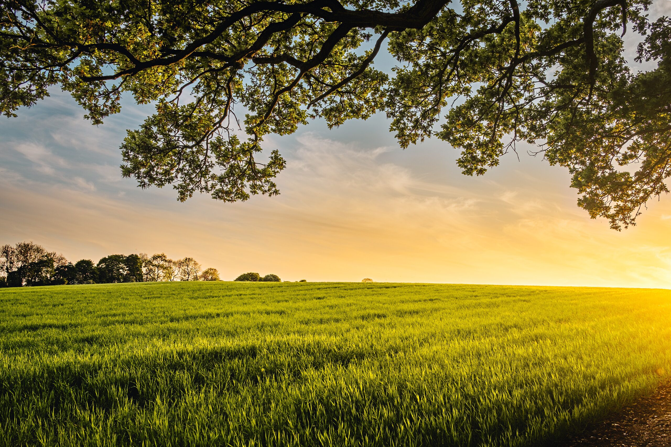 Buying Land vs. Buying a Home National Land Realty News