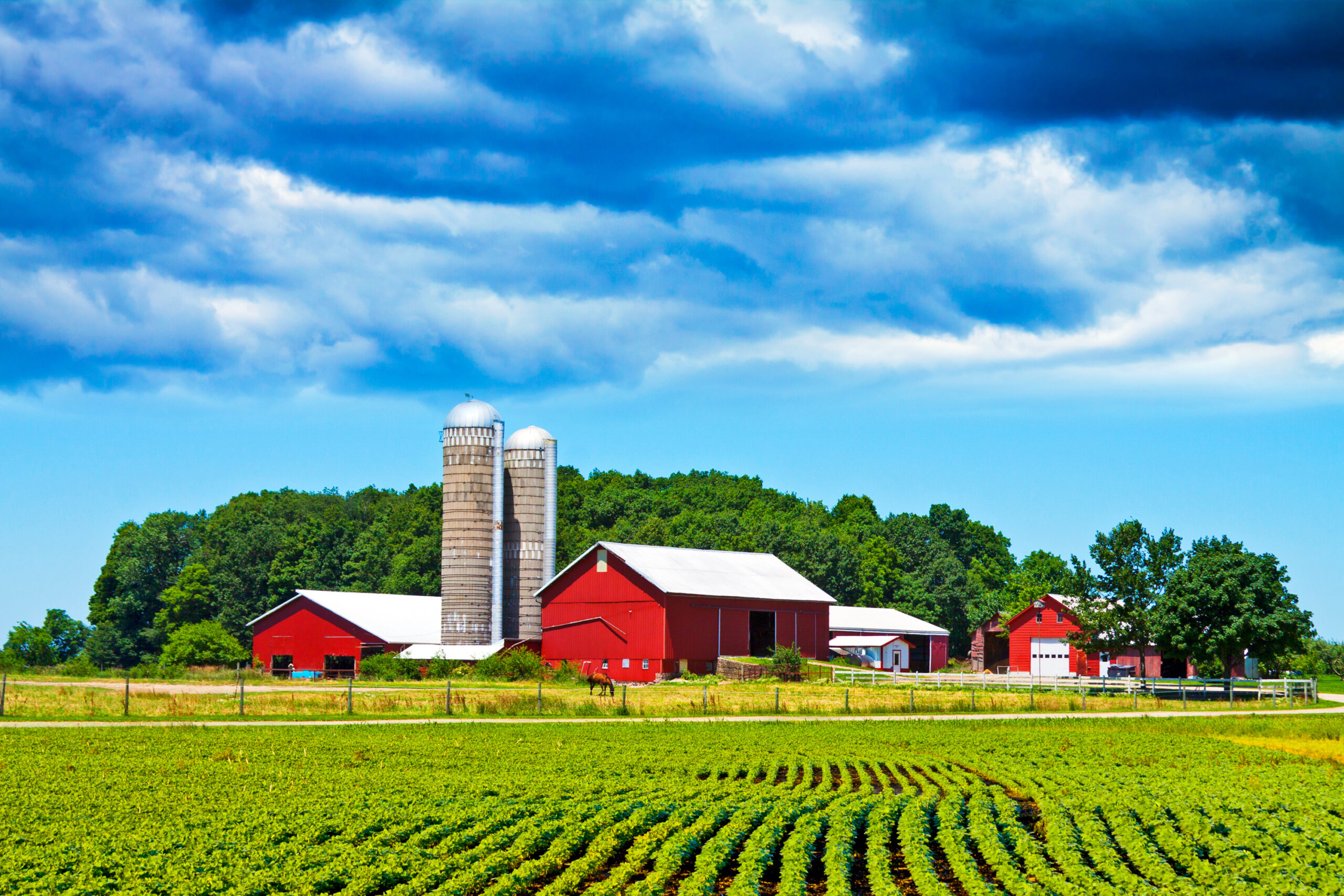 how-to-invest-in-rural-land-national-land-realty-news