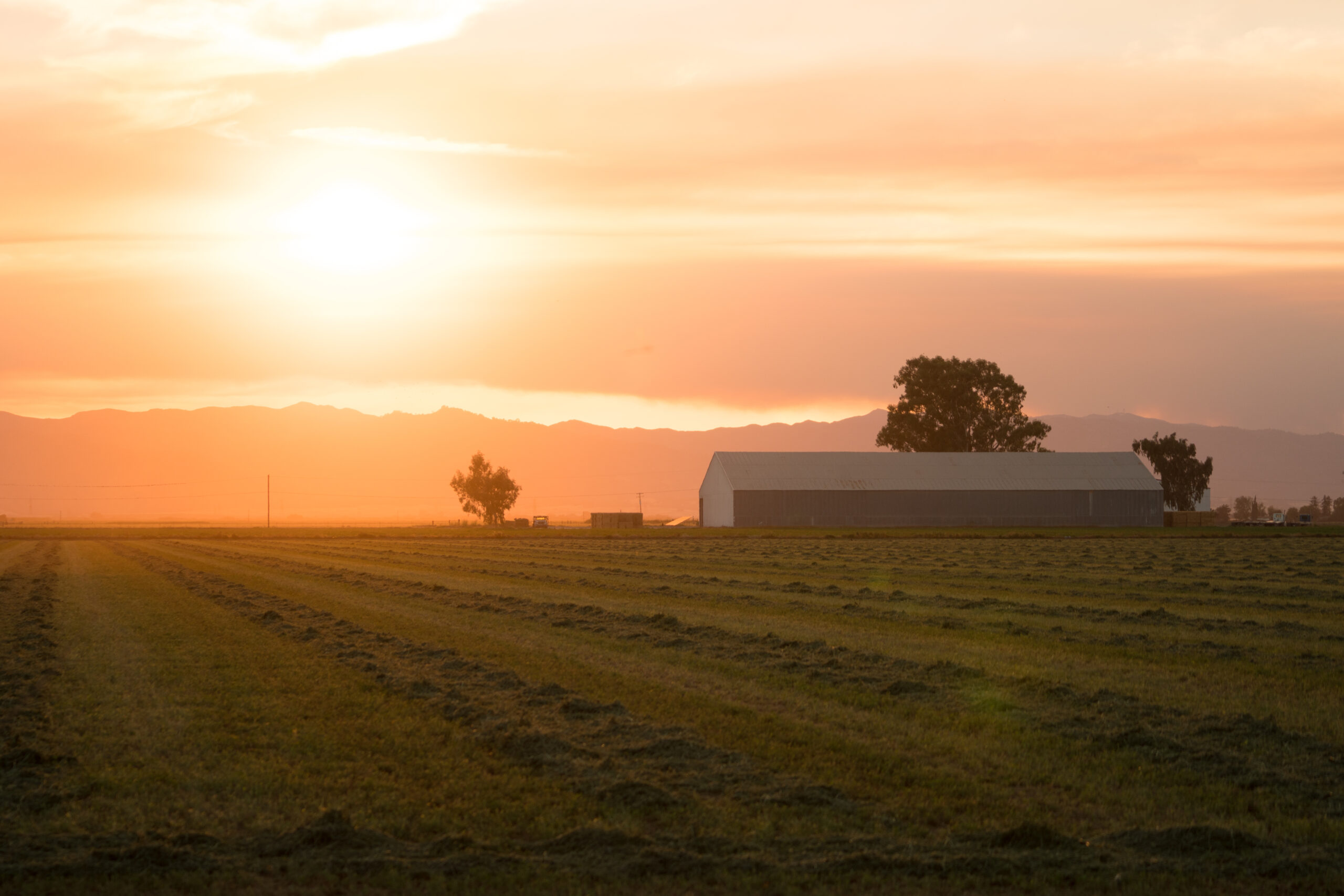 Joining National Land Realty National Land Realty News