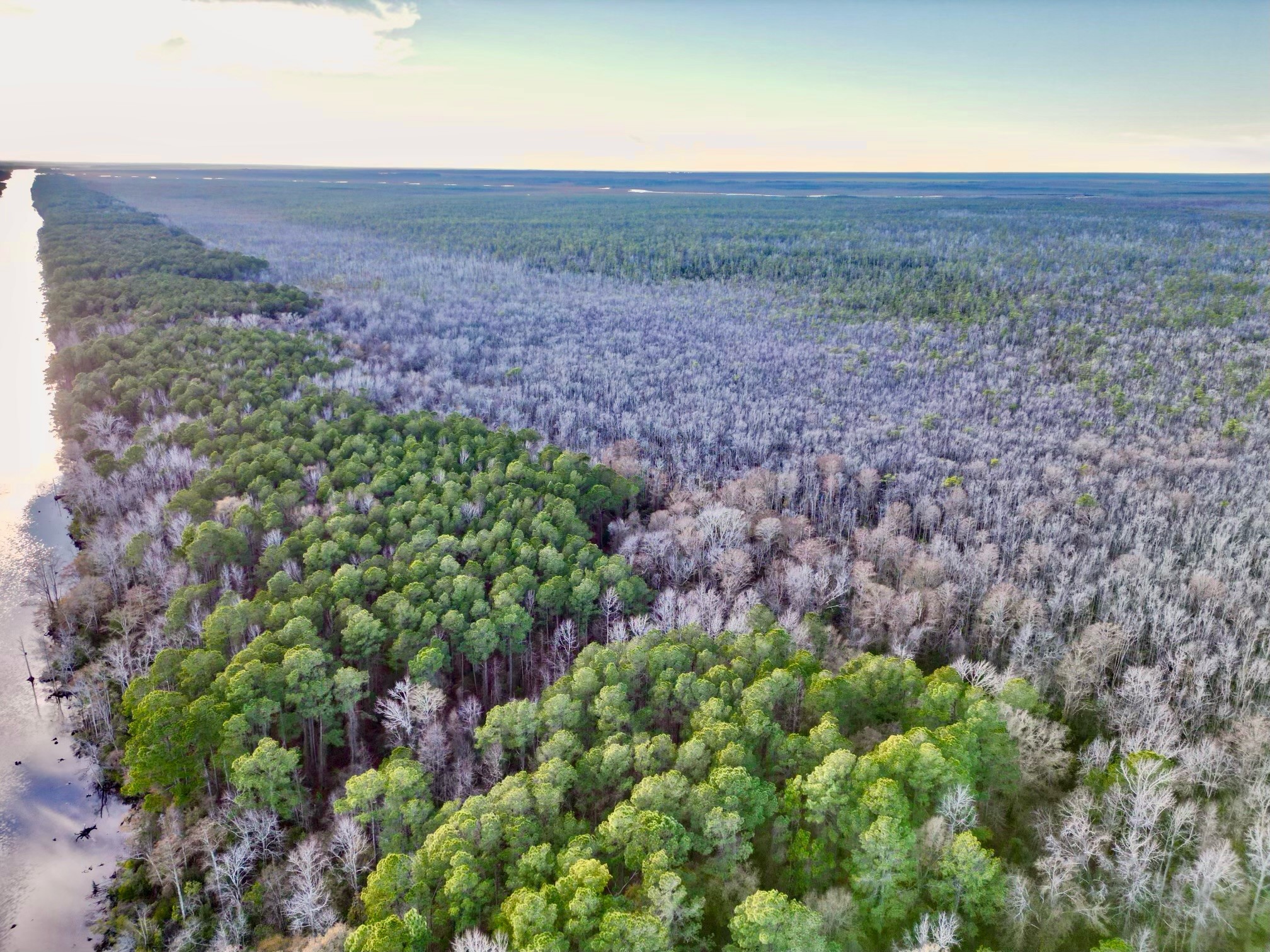 Roper Island Featured in The Land Report National Land Realty News