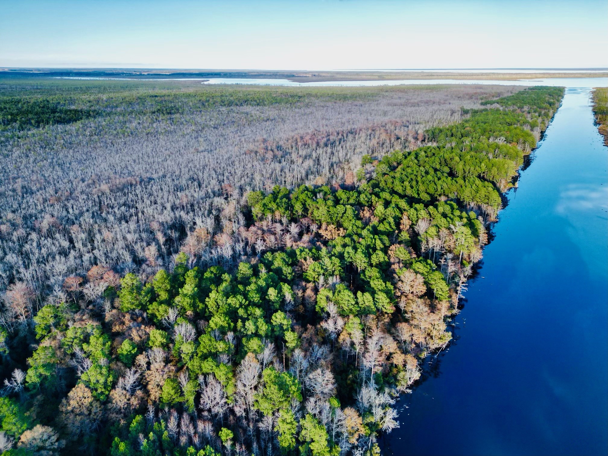 National Land Realty Announces Largest Property Sold Roper Island