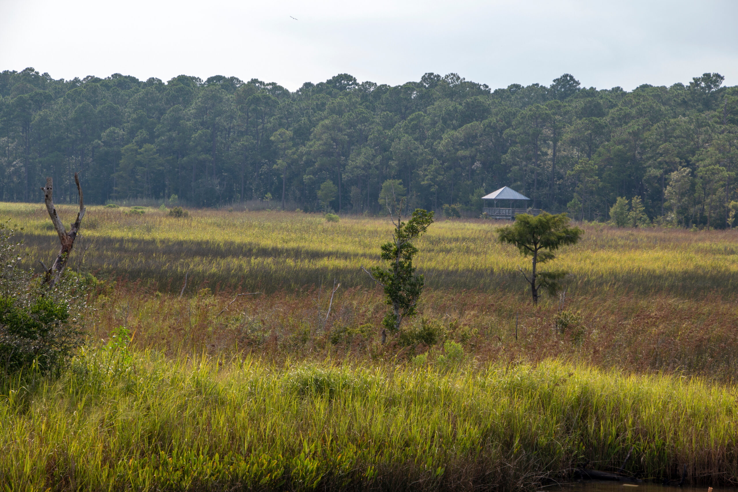 How to Switch Careers and Build a Successful Business Selling Land