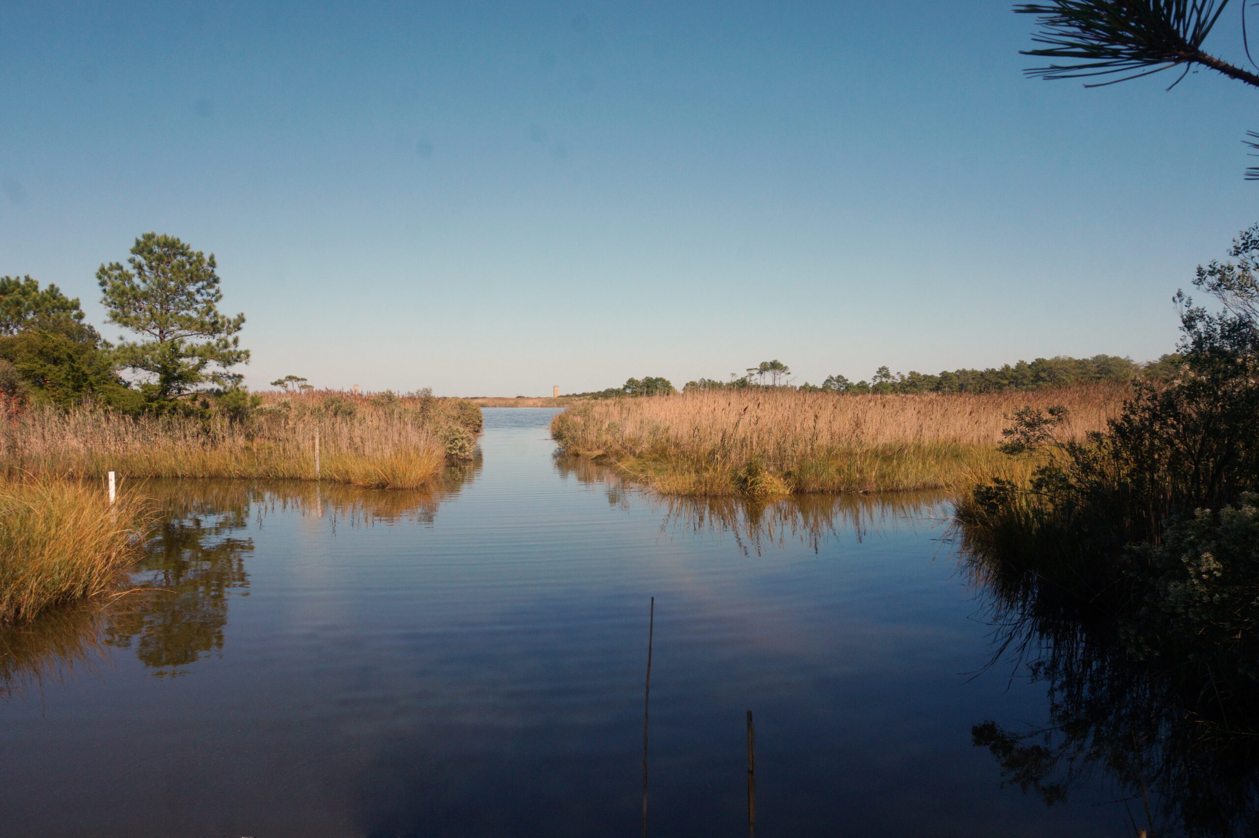 what-to-know-about-wetland-delineation-national-land-realty-news