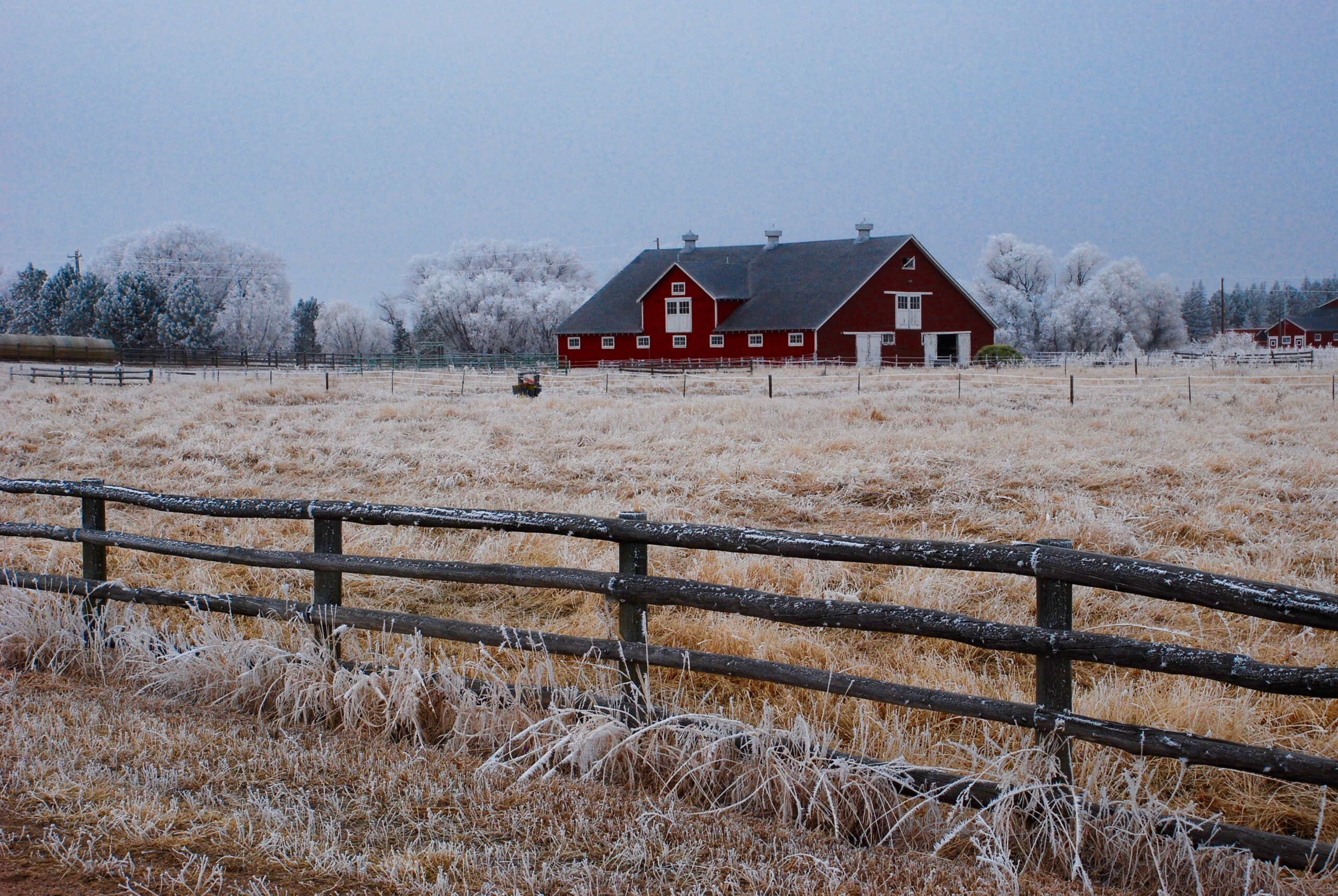 Winter Garden Land For Sale