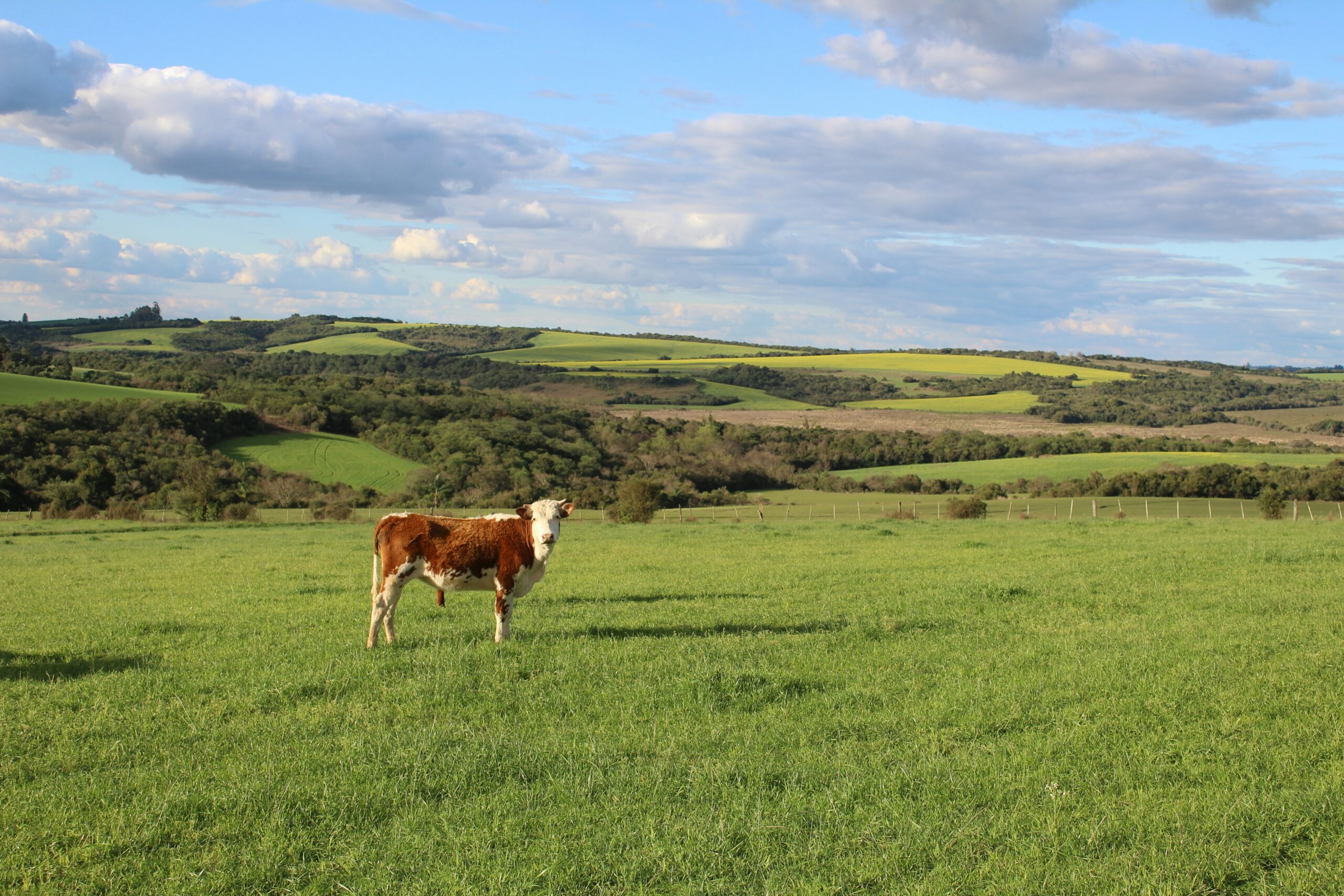 Q3 Land Market Update National Land Realty News