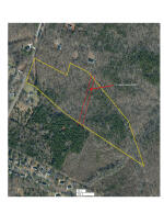 Union Power Powerline ROW