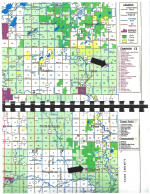 Subject Locations Within Bullard and Orton Townships