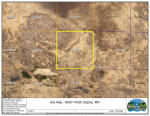 Bullard Township Parcel Map