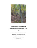 2023 Forestry Plan