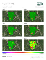 Vegetation Index Map
