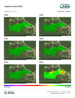 Vegetation Index Map