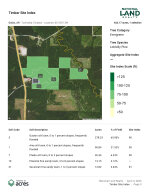 Timber Site Index Map