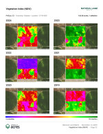 Vegetation Index