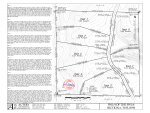 Survey - Topo