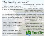 Why Pine City Flyer